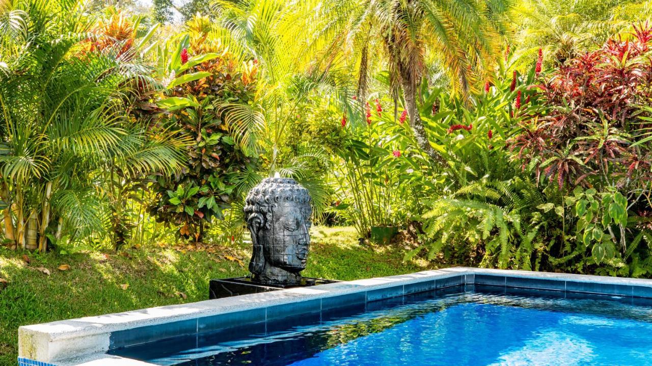 Hotel Villas Rio Mar โดมินิกัล ภายนอก รูปภาพ